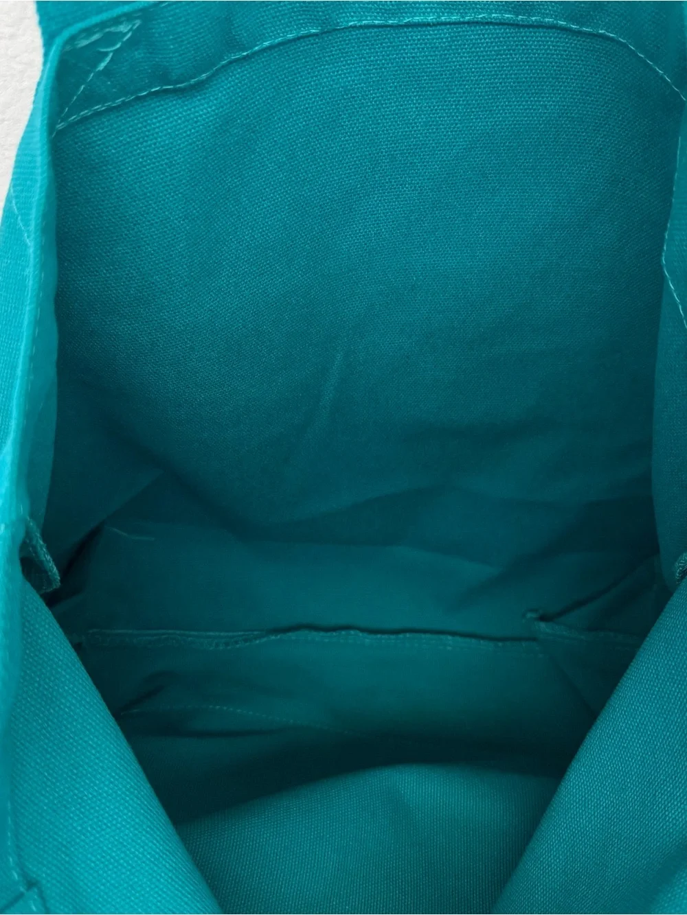 ALO Yoga Teal Canvas Tote